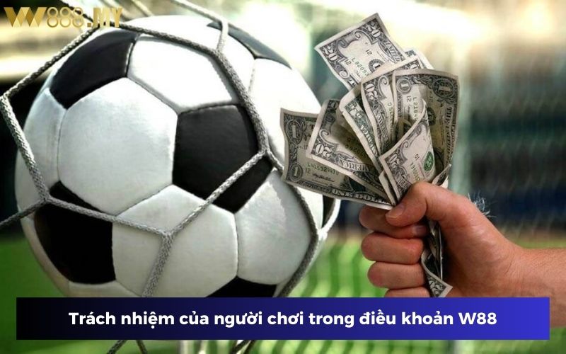 Người chơi đề cao trách nhiệm theo quy định điều khoản W88